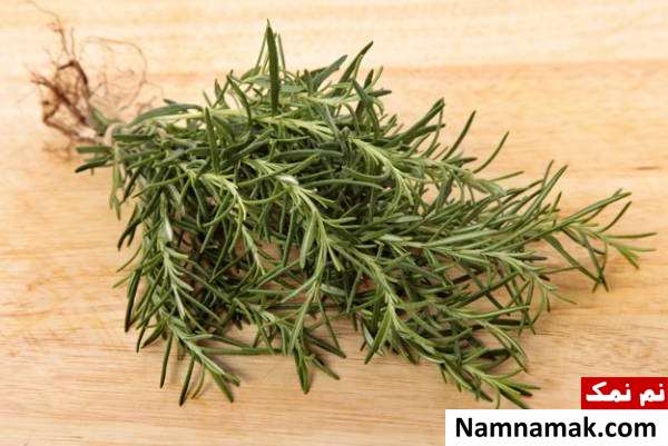 خواص رزماری خواص رزماری در لاغری