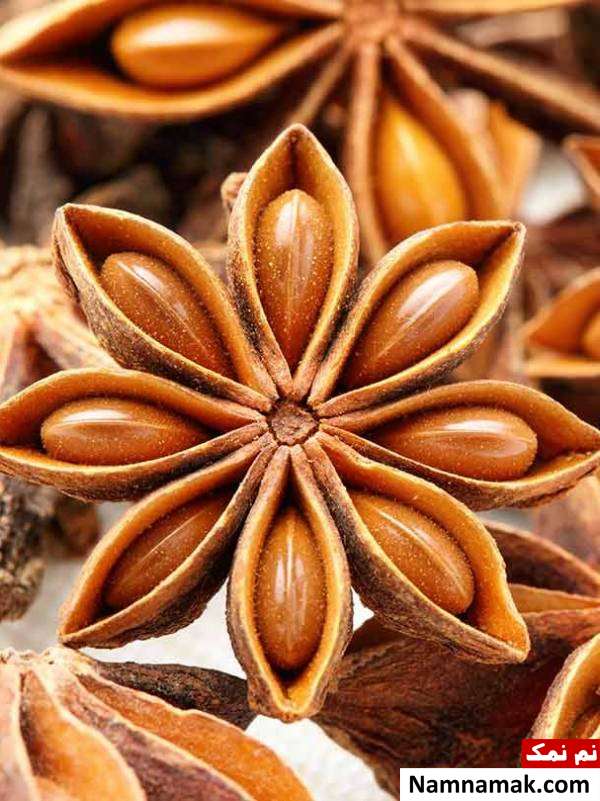 فواید انیسون برای مو انیسون برای مو چه فوایدی دارد؟