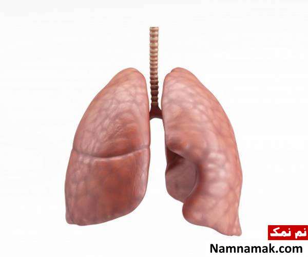 ظرفیت ریه بهبود ریه