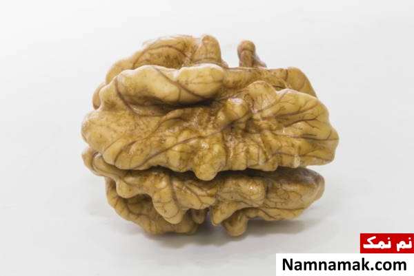 فواید و خواص گردو تمام خواص و فواید گردو