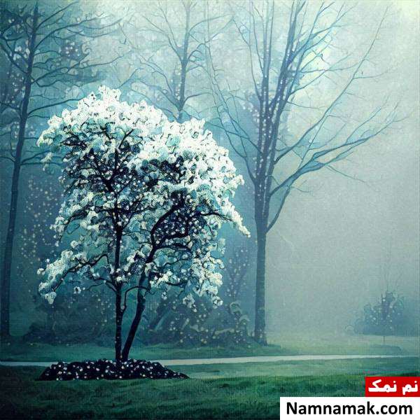 برنامه پریسما برای تبدیل عکس به نقاشی