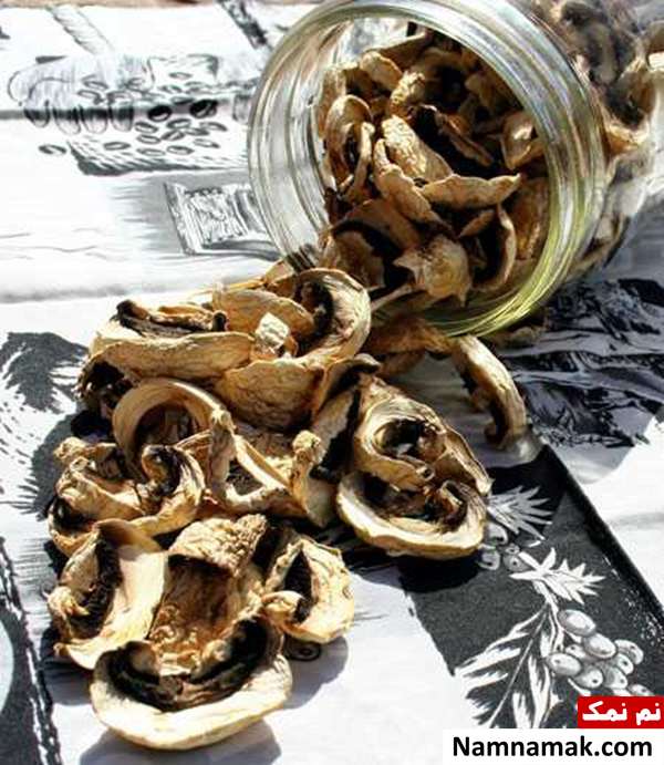 قارچ روشهای نگهداری از قارچ