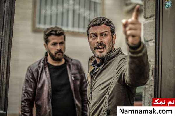 بیوگرافی و عکسهای هامون سیدی و همسرش هامون سیدی در سریال افرا