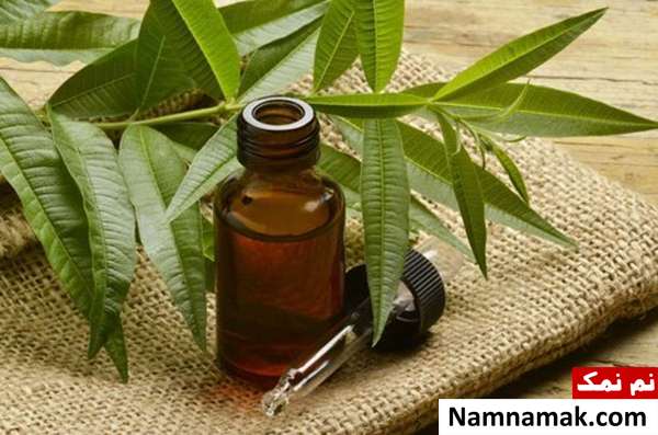 درمان پسوریازیس با روغن طبیعی درمان پسوریازیس با روغن طبیعی درخت چای
