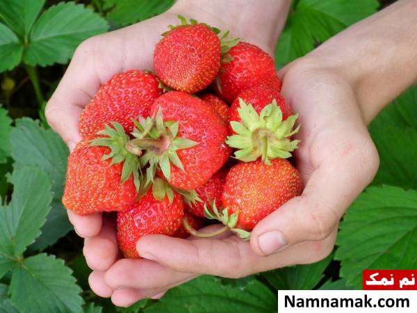 ماسک توت فرنگی و زعفران