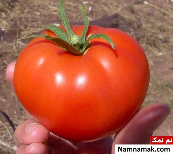 فواید گوجه برای پوست زیبایی پوست با گوجه