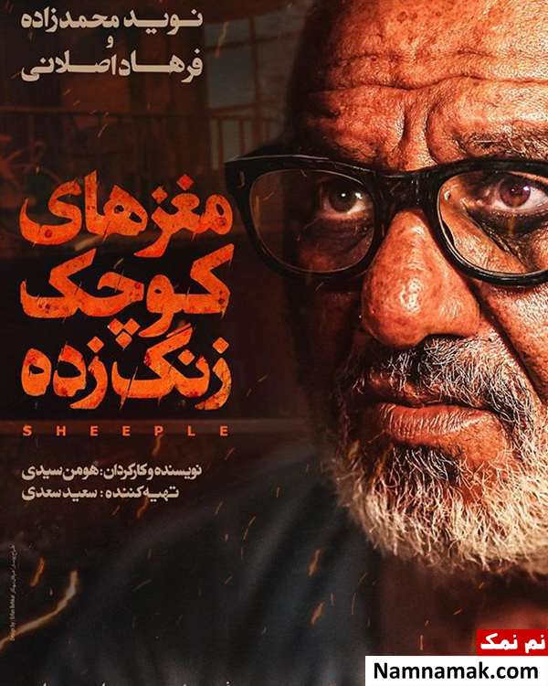 فرید سجادی حسینی در مغزهای کوچک زنگ زده