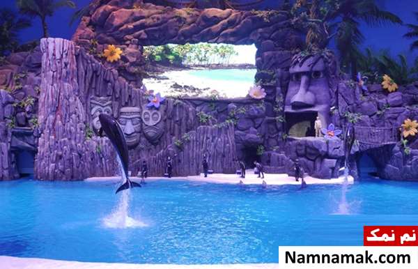 شهربازی چیملونگ اوشن کینگدام (Chimelong Ocean Kingdom)