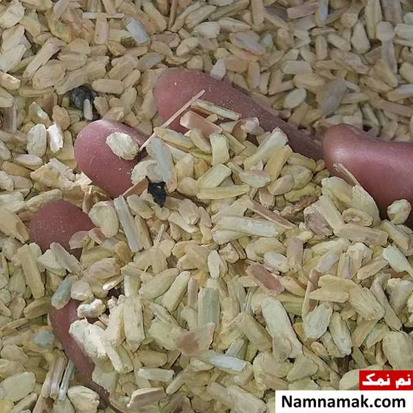 عکس تنباکو چوب یا خوانساری