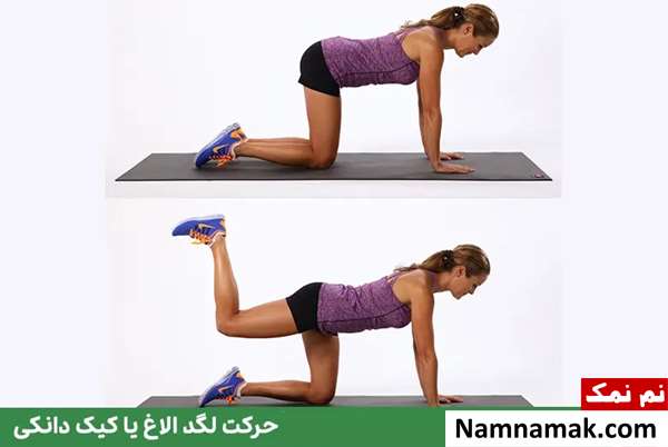 ورزش اسکات برای چاقی