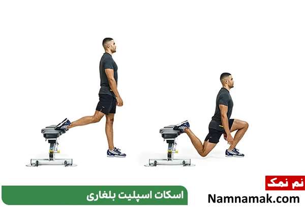 ورزش اسکات برای چاقی