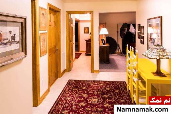 محلول ضد کپک کپک زیر کاغذ دیواری