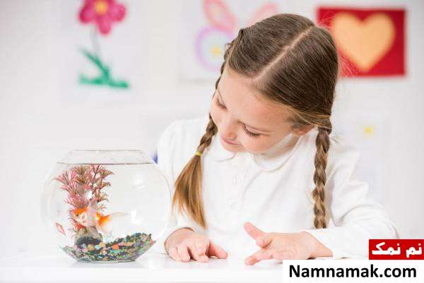 آیا ماهی قرمز خوردنی است؟