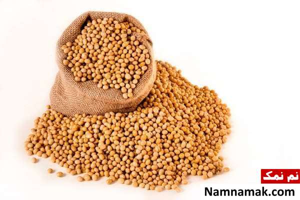 سویای تخمیر شده تنظیم هورمون استروژن