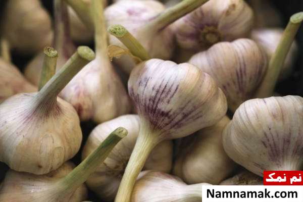 نحوه کود دهی سیر نکات مهم در کاشت سیر