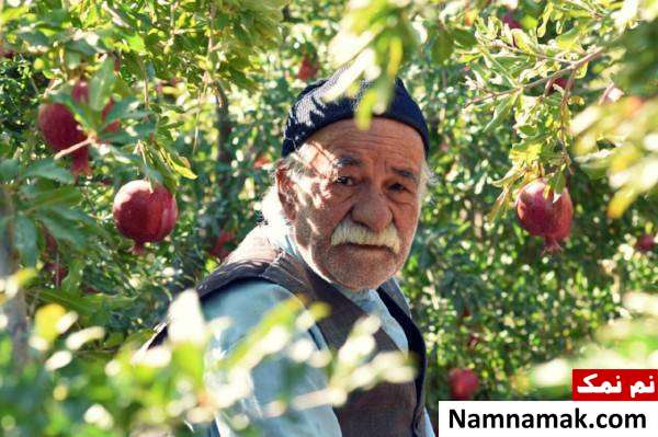 سعید پورصمیمی سعید پورصمیمی بازیگر سینما