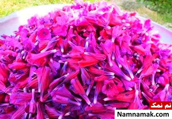 عوارض گل گاوزبان خطر مصرف گل گاوزبان