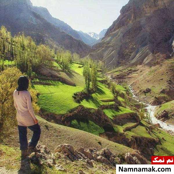 عکاسی در طبیعت عکاسی در فضای بهار فصل بهار