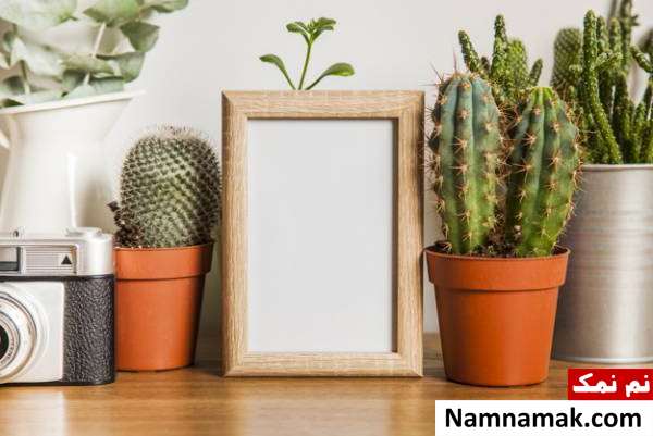 اصول چیدمان بهاری خانه برای عید نوروز اصول چیدمان بهاری خانه برای عید نوروز