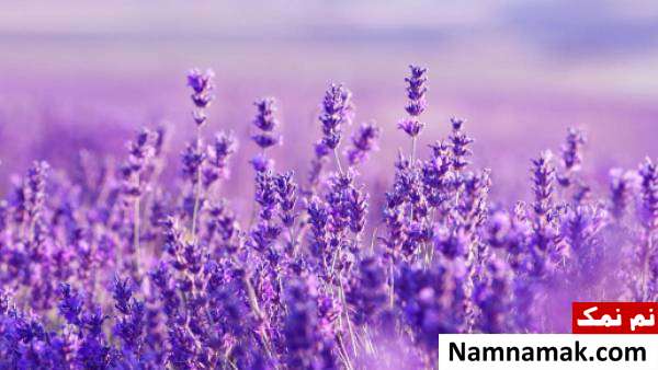 بخور برای سرما خوردگی