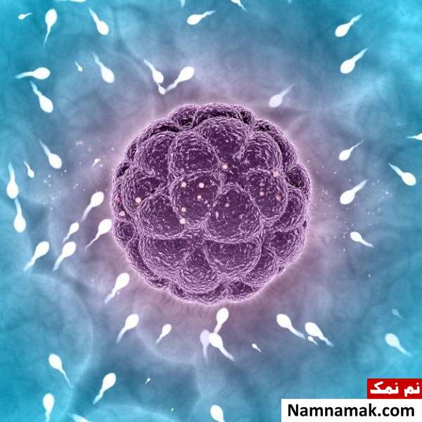 علت سندرم ترنر دلایل سندرم ترنر