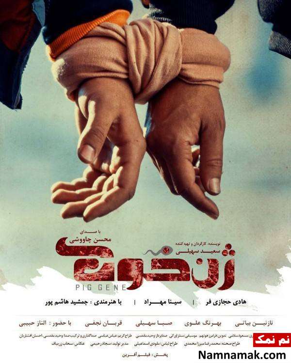 محسن چاوشی خواننده فیلم سینمایی ژن خوک شد