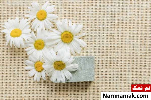 بابونه برای مثانه خواص بابونه برای بیماری مثانه