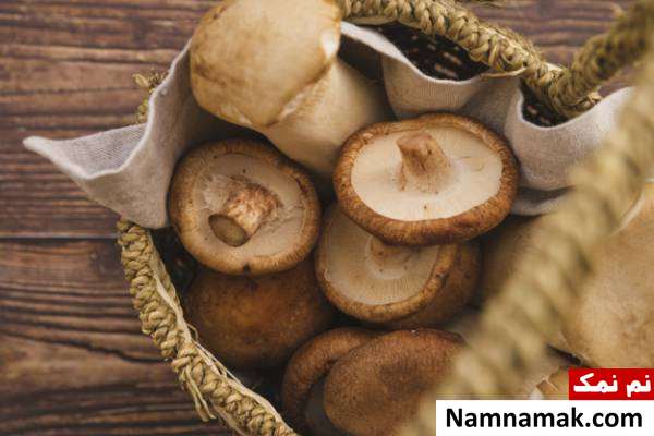 قارچ ضد چربی خون درمان خانگی چربی خون