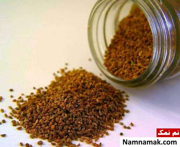 خواص تخم کرفس چیست؟