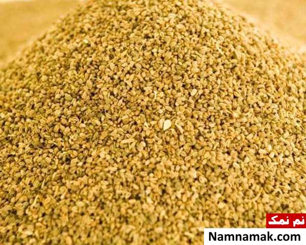 فواید و مضرات تخم کرفس