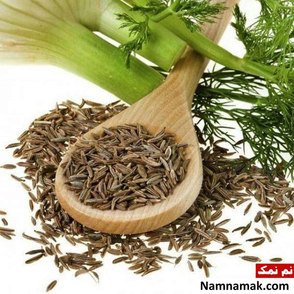 رازیانه استفاده رازیانه