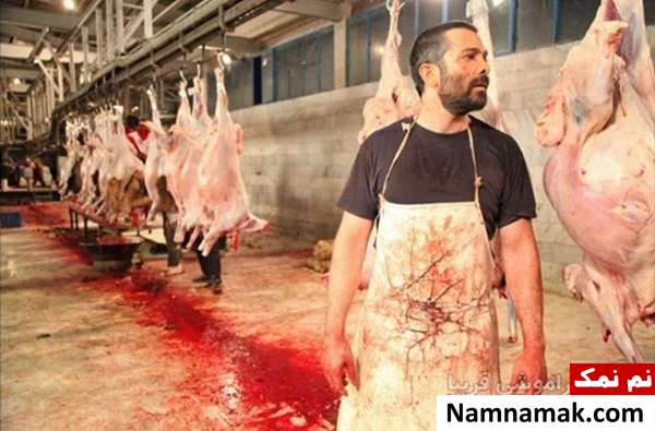 زندگینامه هومن کیایی و همسرش هومن کیایی در فیلم فصل فراموشی فریبا