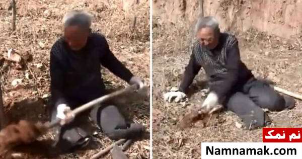 بیابان به دست مرد معلول جنگل شد