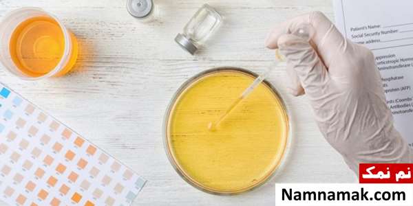 جدول اصطلاحات آزمایشگاهی