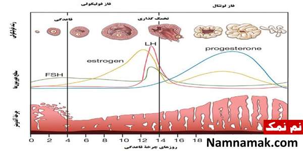 جدول اصطلاحات آزمایشگاهی