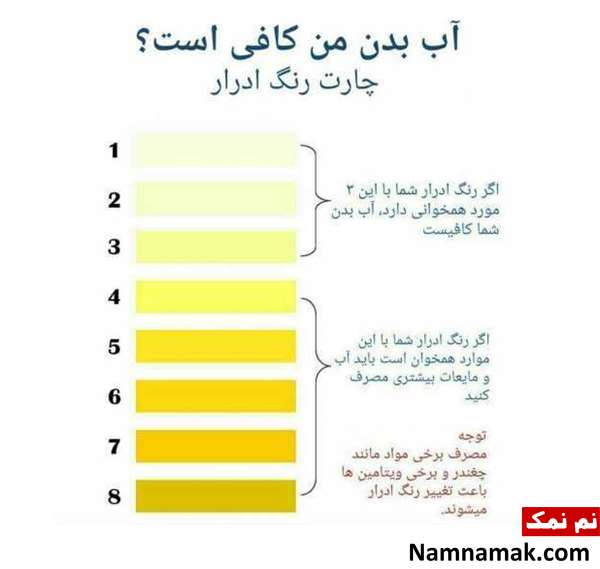 طریقه خواندن جواب آزمایش ادرار با تفسیر و جدول