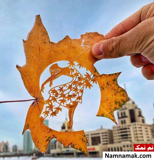 طراحی های شگفت انگیز هنرمند جوان بر روی برگ!