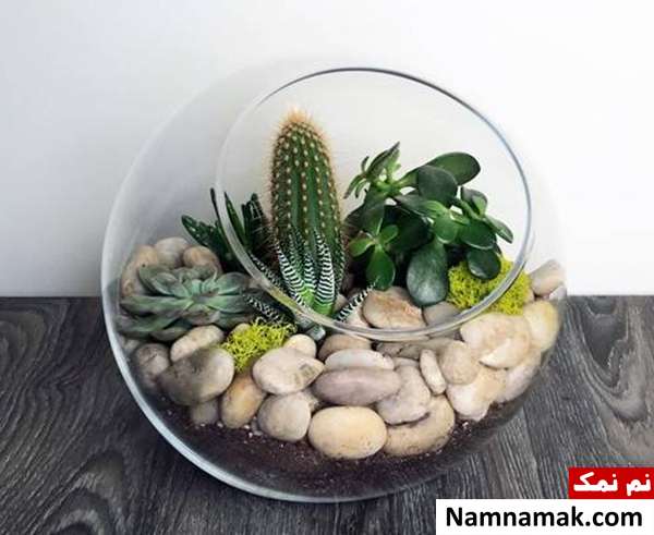 تراریوم تراریوم باغ شیشه ای