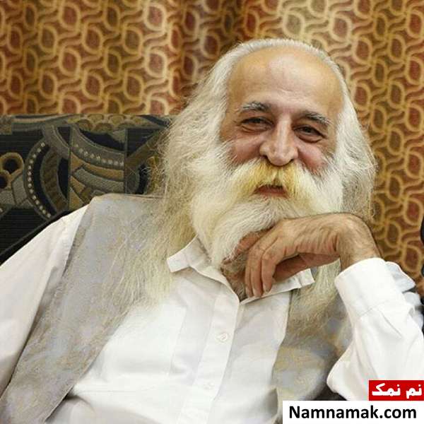 زندگینامه محمدرضا لطفی و همسر و فرزندانش و علت طلاق آهنگهای محمدرضا لطفی