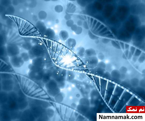کاربرد آزمایش dna