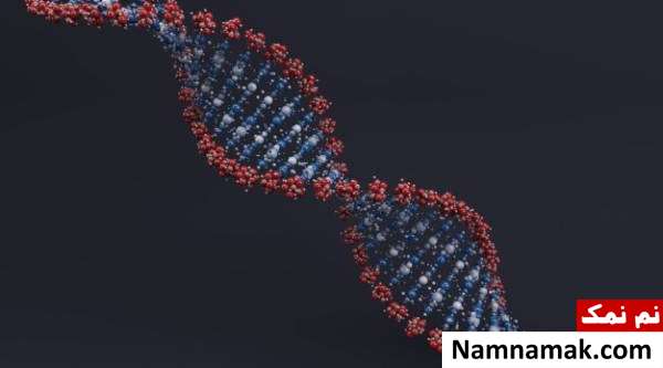 آزمایش dna برای اثبات نژاد