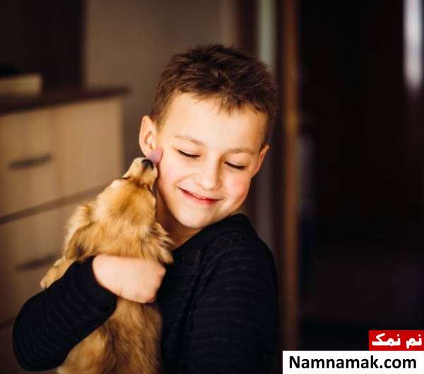 احساسات سگ ها آیا میدانید های علمی