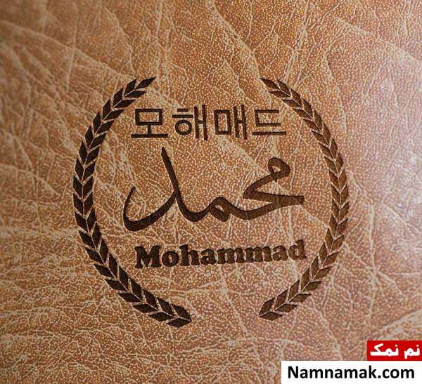 آیا میدانید های جالب