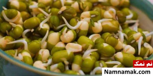 فواید جوانه ماش ارزش غذایی جوانه ماش