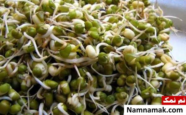 مزایای جوانه ماش ویتامین های جوانه ماش