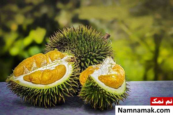 میوه دوریان چیست و چه خواصی دارد؟