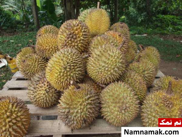 تمام خواص و عوارض دوریان
