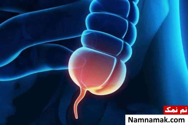 فایده آپاندیس نقش آپاندیس در بدن