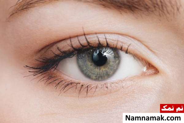 اعضای بی کاربرد بدن