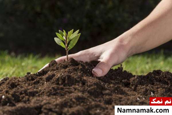 تغذیه خاک تقویت خاک باغچه